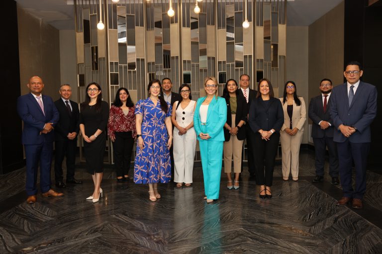 Comité Técnico de Enlace del CCSBSO